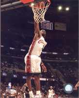 2008 LeBron James Cleveland Cavaliers 8X10 Glossy Photo by Photofile