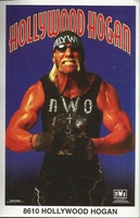 Hollywood Hogan Original Funky Posters Wrestling MINI Promo Piece 3x5