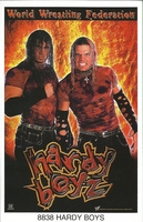 Hardy Boyz Original Funky Posters Wrestling MINI Promo Piece 3x5