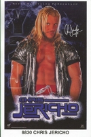 Chris Jericho  Original Funky Posters Wrestling MINI Promo Piece 3x5