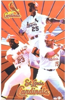 2000 St Louis Cardinals Collage Original Starline Poster OOP Mark McGwire