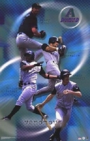 2002 Arizona Diamondbacks Collage Venomous Starline Poster OOP W/Randy Johnson