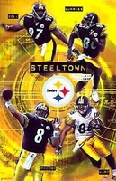 2003 Pittsburgh Steelers Collage Original Starline Poster OOP with Burress Ward