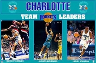 1993 Charlotte Hornets Leaders Original Starline Poster OOP Mugsey LJ & ZO