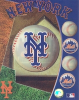 NEW YORK METS Team logo 8X10 Lenticular 3D Poster by Motion Imaging