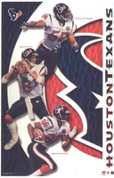 2002 Houston Texans Collage Original Starline Poster OOP