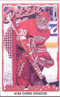 Chris Osgood DETROIT RED WINGS Original Norman James Poster MINI Promo Piece 3x5