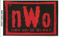 NWO New World Order Original Funky Posters Wrestling MINI Promo Piece 3x5
