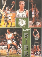 1990 Starline LARRY BIRD Boston Celtics Monster Poster MINI Promo Piece RARE
