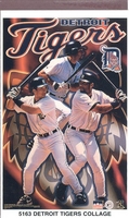 Clark Easley DETROIT TIGERS COLLAGE Starline Poster MINI Promo Piece 3x5