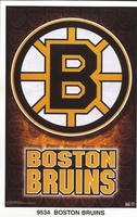 BOSTON BRUINS LOGO Original Starline Poster MINI Promo Piece 3x5